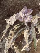 Mikhail Vrubel Orchid Germany oil painting artist